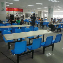 天長市圓凳餐桌椅 靠背餐桌椅批發